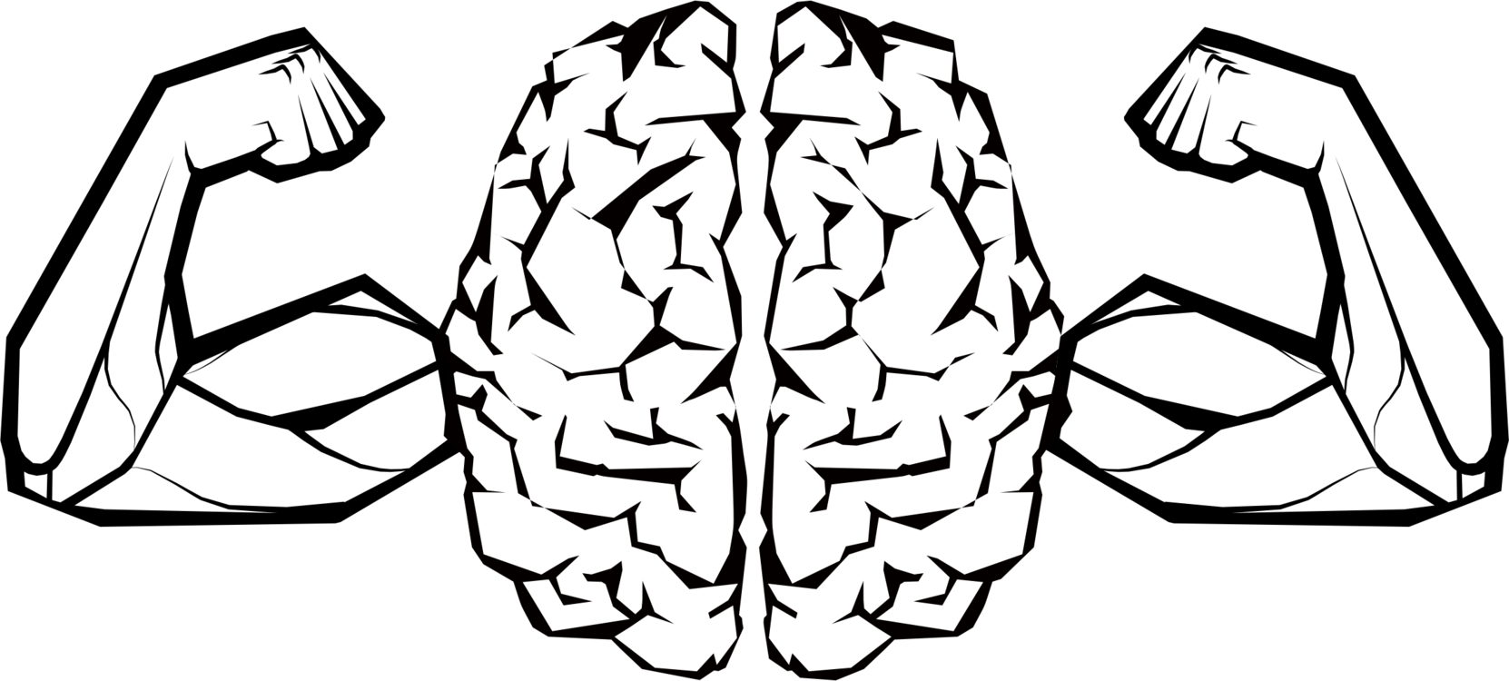 Mammal Biceps Brain Visual Arts Muscle - Biceps (1662x750), Png Download