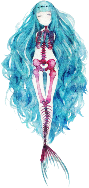 Clip Art Transparent Medussah Hey I Just Made A Transparent - Mermaid Bones (500x653), Png Download