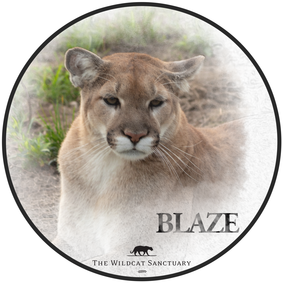 Smiley Head (1200x1200), Png Download