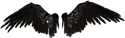 Wings, Png, And Transparent Image - Black Angel Wings Png (500x329), Png Download