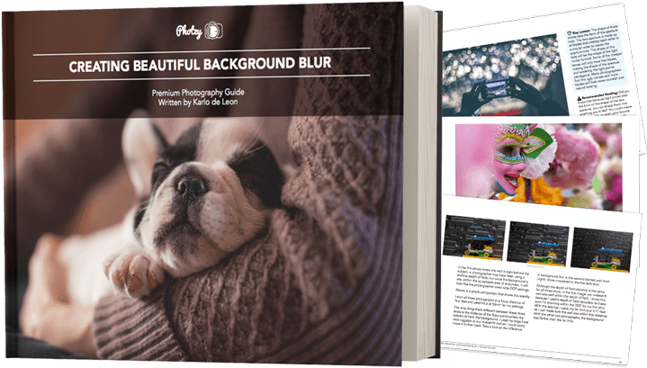 Click Add To Cart Now To Get Your Copy Of Beautiful - Sweet Sleeping Black And White French Bulldog Puppy (750x413), Png Download