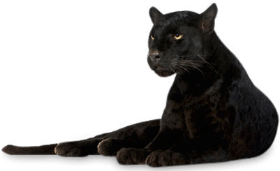 Panther Lying Down - Picsart Photo Studio (400x400), Png Download