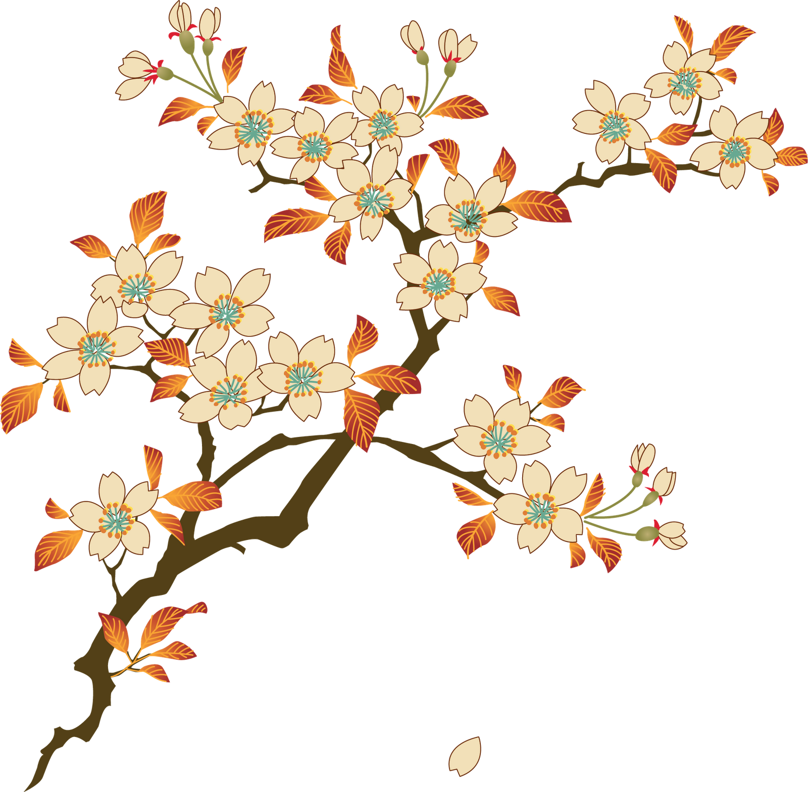 Floral Png Photos - Floral Png (1600x1568), Png Download