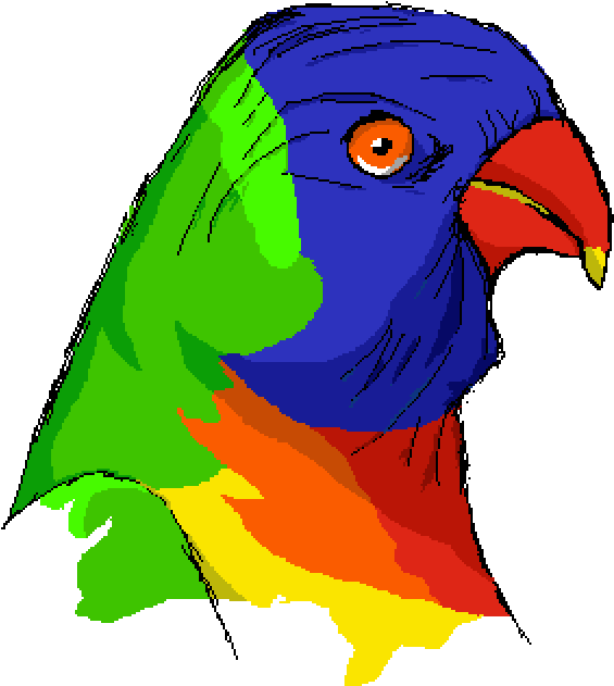 Rainbow Lorikeet - Lorikeet (1000x1000), Png Download
