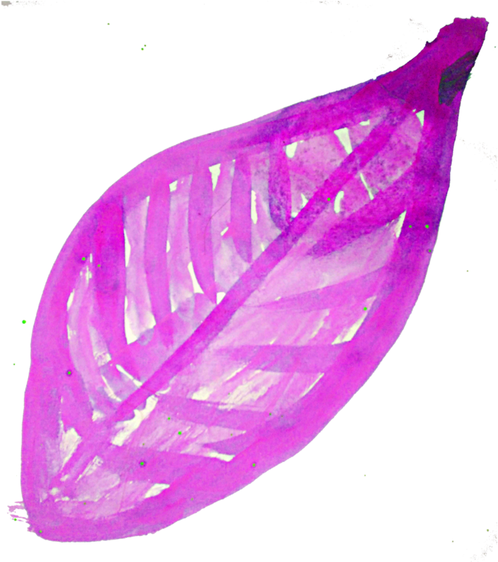 Watercolor Leaves Png Images - Watercolor Painting (1024x1024), Png Download