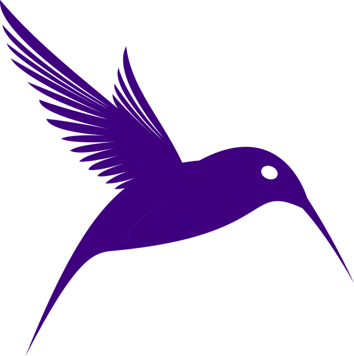 Png Transparent Free Images Only Drawing X - Purple Humming Bird Pillow Case (715x720), Png Download
