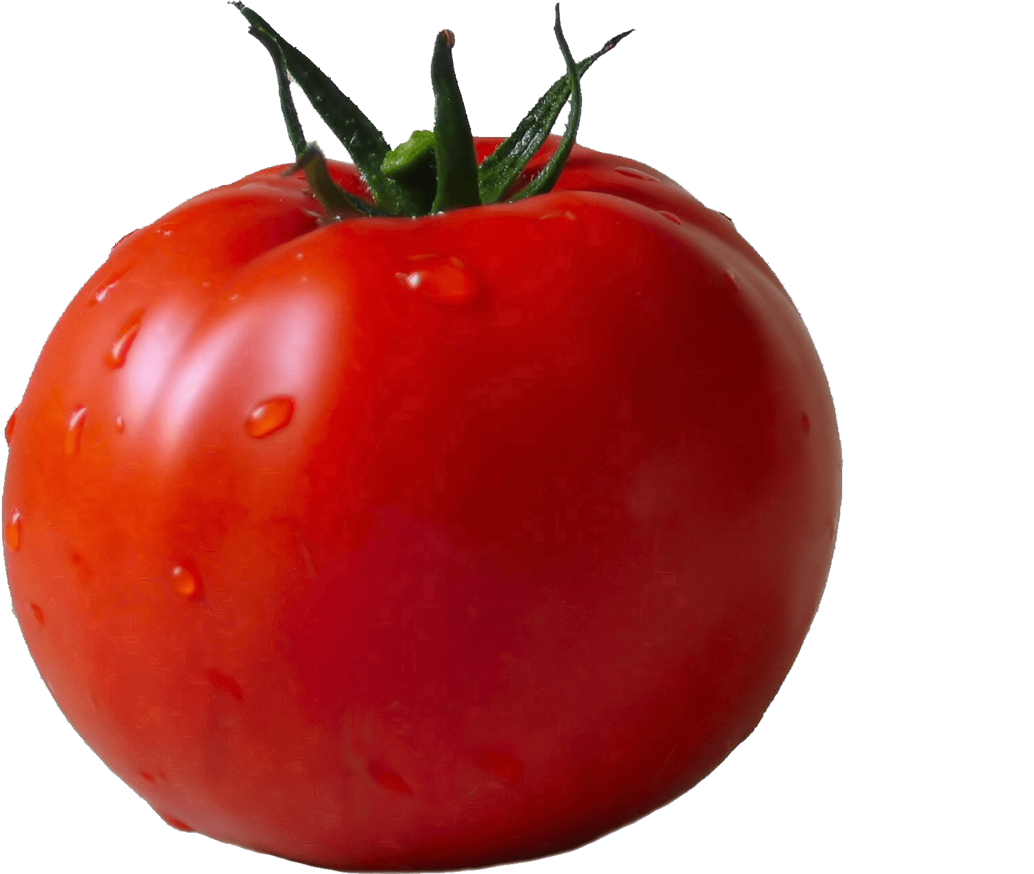Tomato - Tomato Png (1996x1596), Png Download