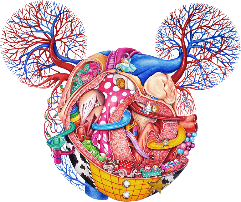 Vanessa Wong - Rooster (800x800), Png Download