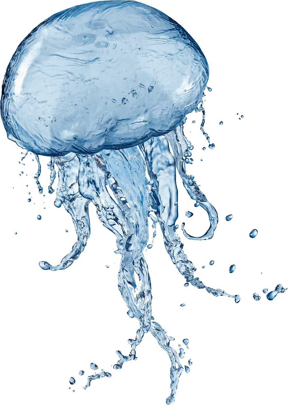 Clipart Free Stock Images Png Mart - Portuguese Man Man O War Transparent (1000x1407), Png Download