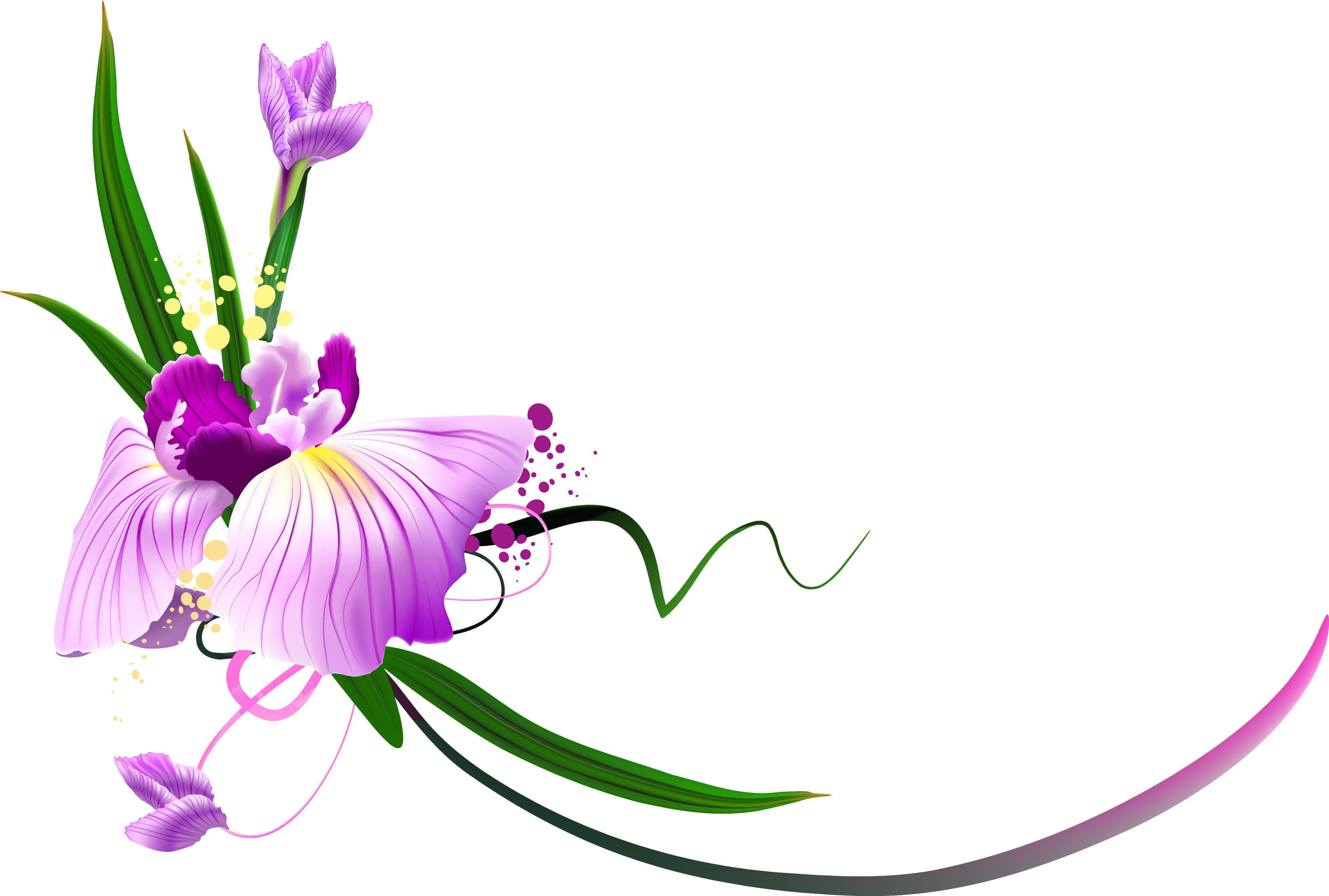 Floral Png - S And M Letter Love (3790x2642), Png Download