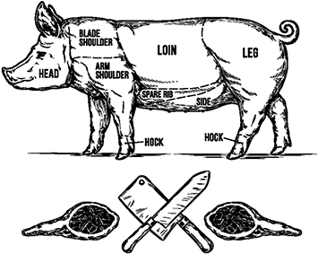 Vector Illustration Of A Pig, Pig, Illustration, Vector - Vector Graphics (360x360), Png Download