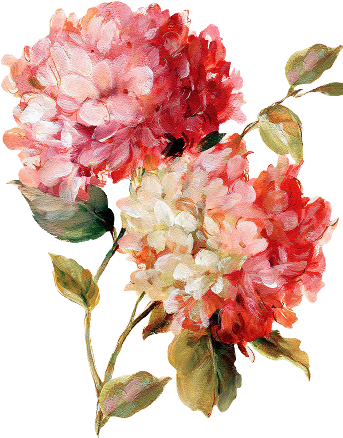 Decoupage Flower Painting Pattern - Harmonious Hydrangeas Linen Poster Print By Lisa Audit (1257x1600), Png Download