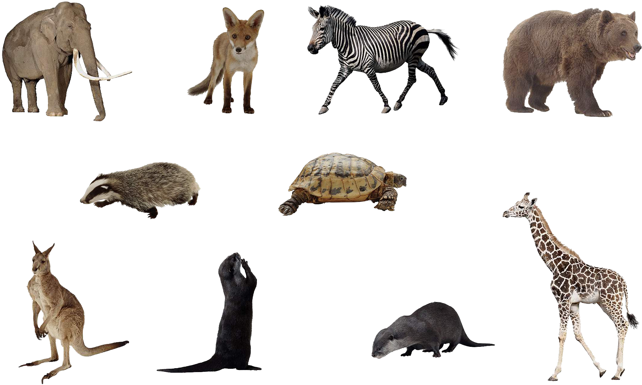 Animals Png Set By Mossi889-d4uye4q - Animals Png (2400x1500), Png Download