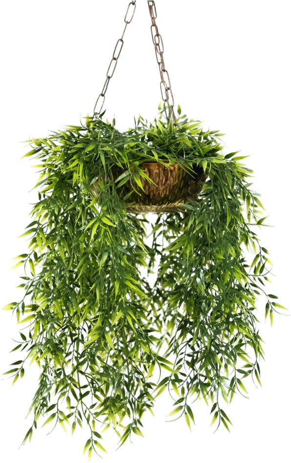 Hanging Pot By Makiskan On Deviantart - Flower With Pot Png (813x983), Png Download