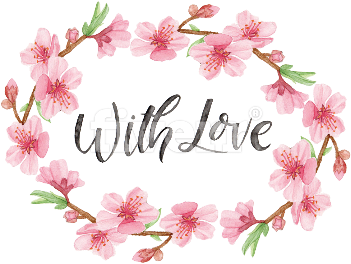 Cherry Blossom (1200x848), Png Download