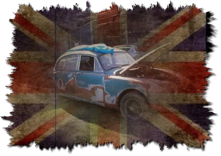 This Car Was Purchased By John Hunt On Ebay And Was - Coombs Test (736x518), Png Download