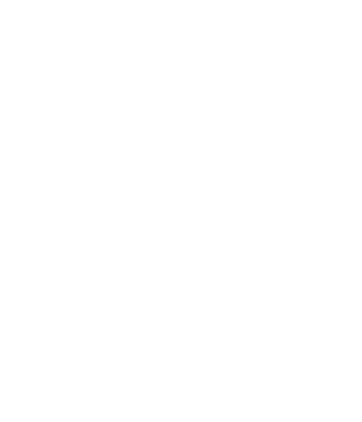 Lightning Bolt White Png (510x595), Png Download