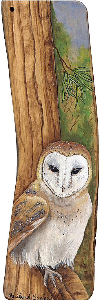 Marilyn Boyle - Barn Owl (426x1100), Png Download