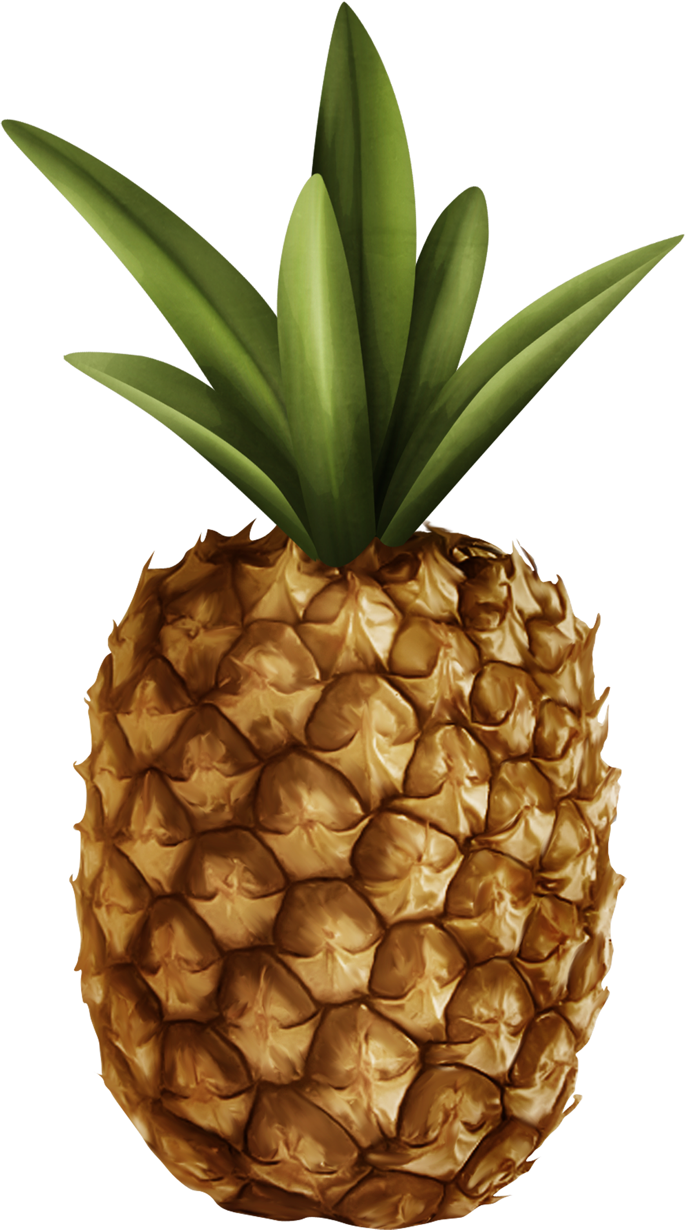 Pineapple Png Clipart - Pineapple (1391x2500), Png Download
