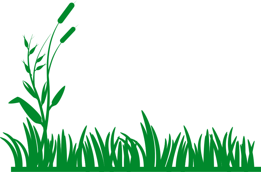 Cartoon Grass Clipart Clip Art Transparent Download - Grass Cartoon (600x396), Png Download