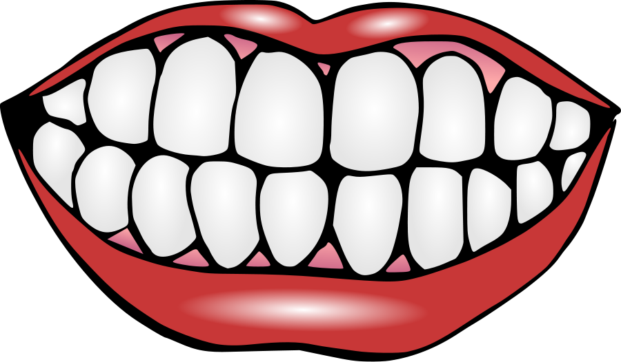 Clip Art - Mouth Clipart (900x526), Png Download