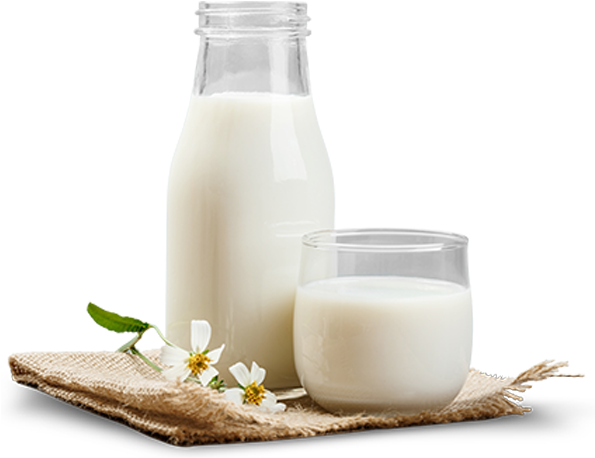 Milk Png (600x500), Png Download