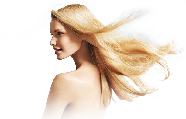 Model Free Png Image Blond Full Size Png Download Seekpng
