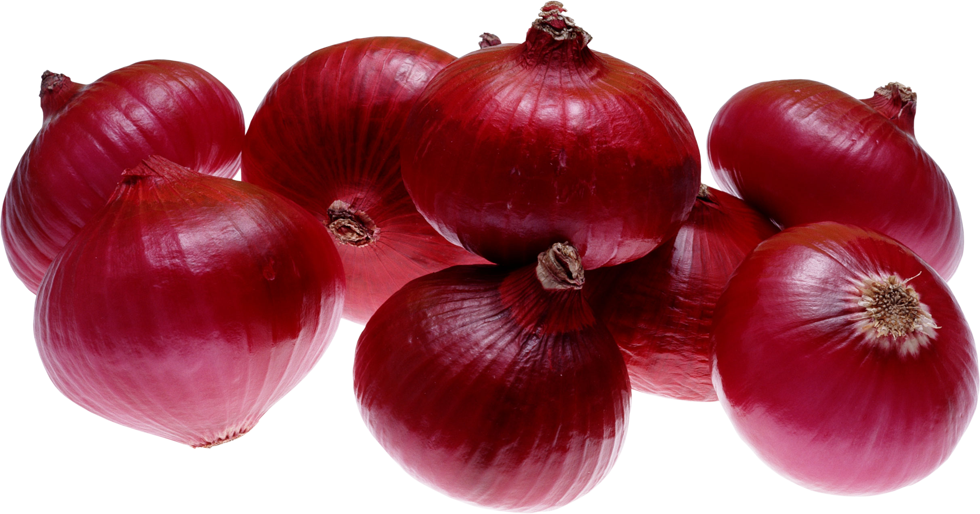 Red Onion Png Image - Fresh Onion (3191x1675), Png Download