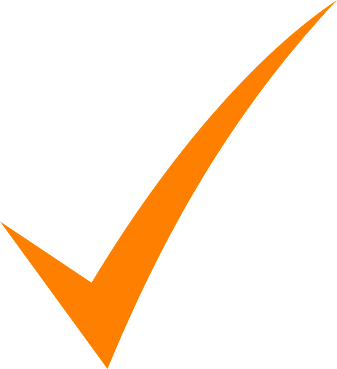 Jpg Stock Mark Logos - Check Mark Orange Png (658x720), Png Download