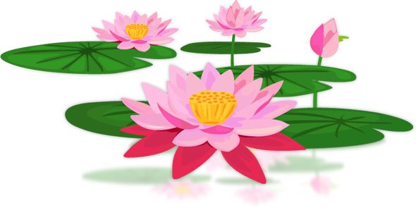Lotus Png Pic - Lotus Png (590x298), Png Download