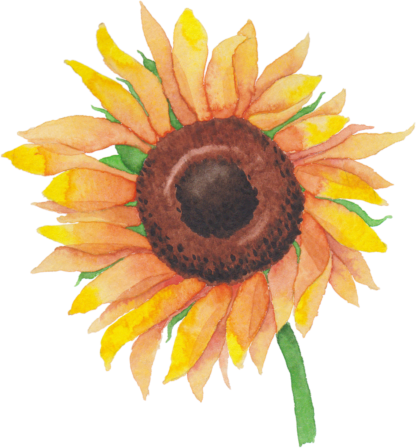 Sunflower Watercolor Png Making Time Your Friend Svg - Watercolor Sunflower Transparent (1361x1468), Png Download