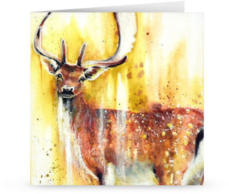 'a Moment' Card - Elk (480x480), Png Download