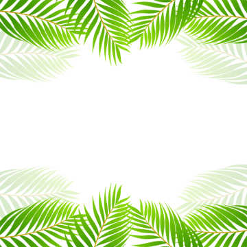 Green Tropical Leaf Border Vector, Green, Tropical, - Tropical Vector Png (360x360), Png Download