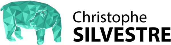 Web Master/designer Print - Christopher: A Shawn Crawford Adventure (640x195), Png Download