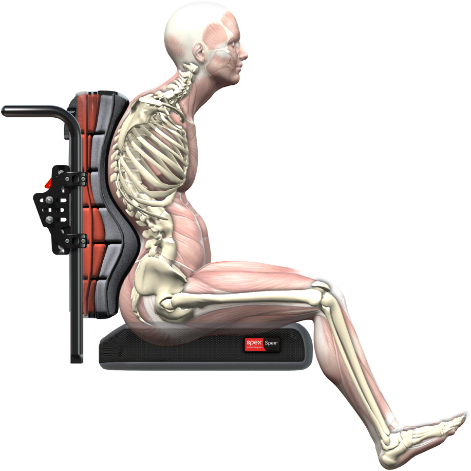 Spex Accomplishes What The Clinician Desires, And What - Wheelchair (1000x1000), Png Download