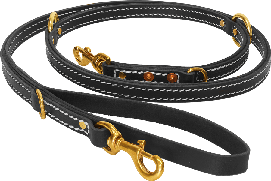 407503 - Dog Leash And Collar Png (900x603), Png Download