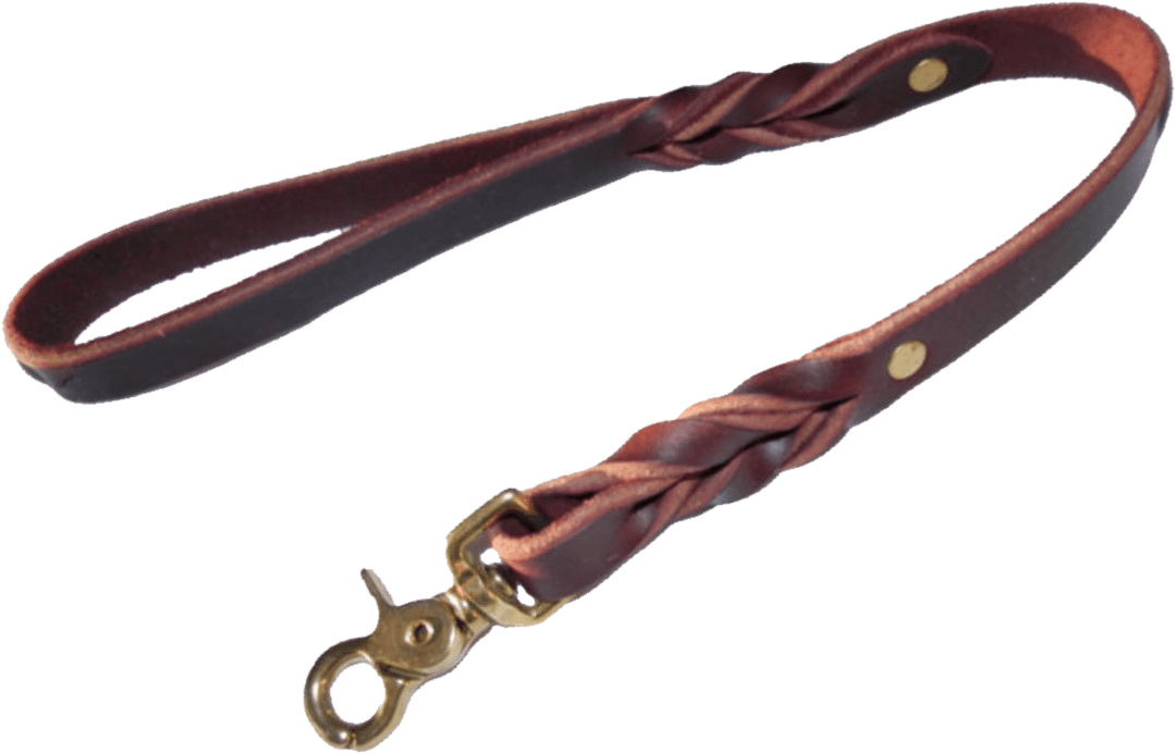 Kong Traffic Dog Leash (1080x789), Png Download