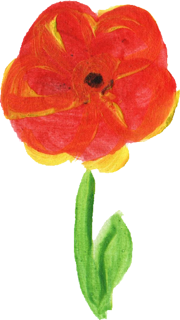 Free Download - Common Poppy (365x647), Png Download