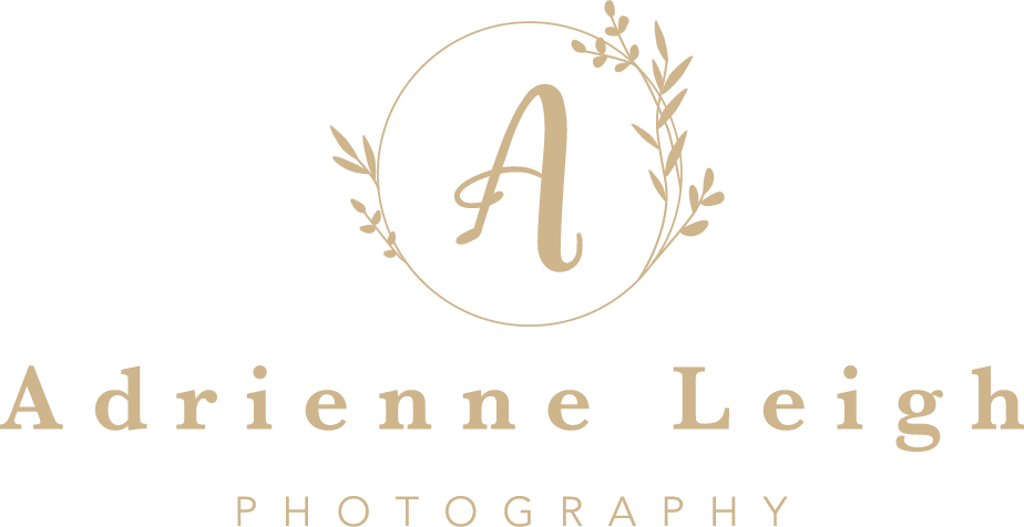 Adrienne Leigh Photography Logo Type And Icon - Boultbee Flight Academy (924x476), Png Download