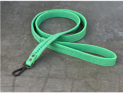 Hampton Dog Leash - Dog (500x500), Png Download