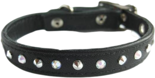 Dog Collar Png - Collar Transparent Background (590x341), Png Download
