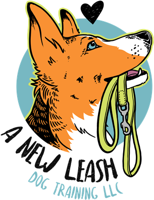 A New Leash Dog Training - Dog (499x499), Png Download