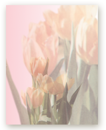 Picture - Bouquet (576x432), Png Download