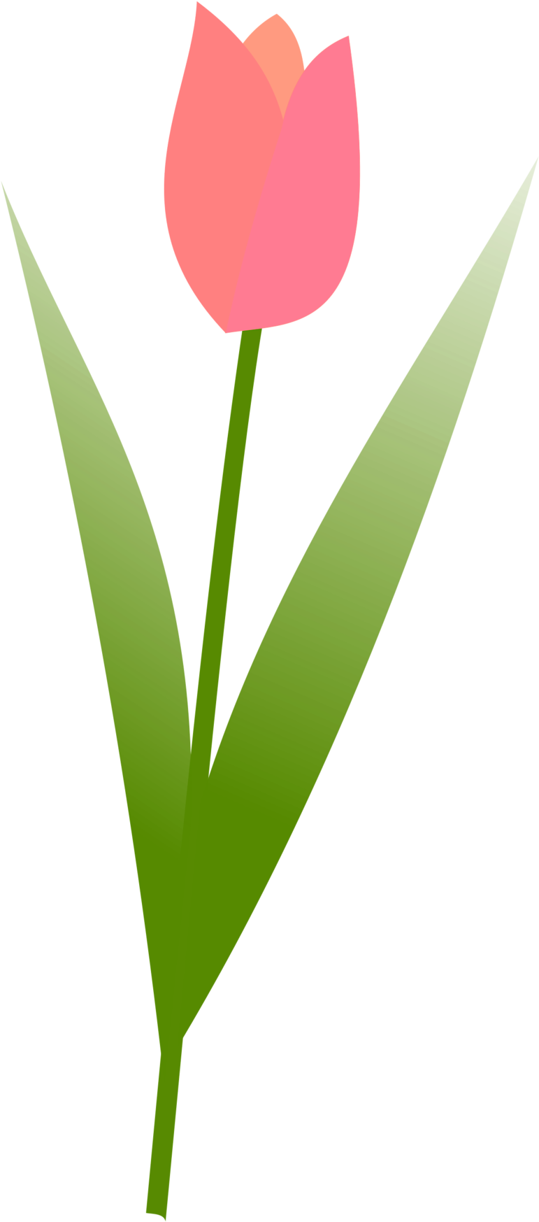 Row Huge Freebie Download For Powerpoint - Tulip (555x1125), Png Download