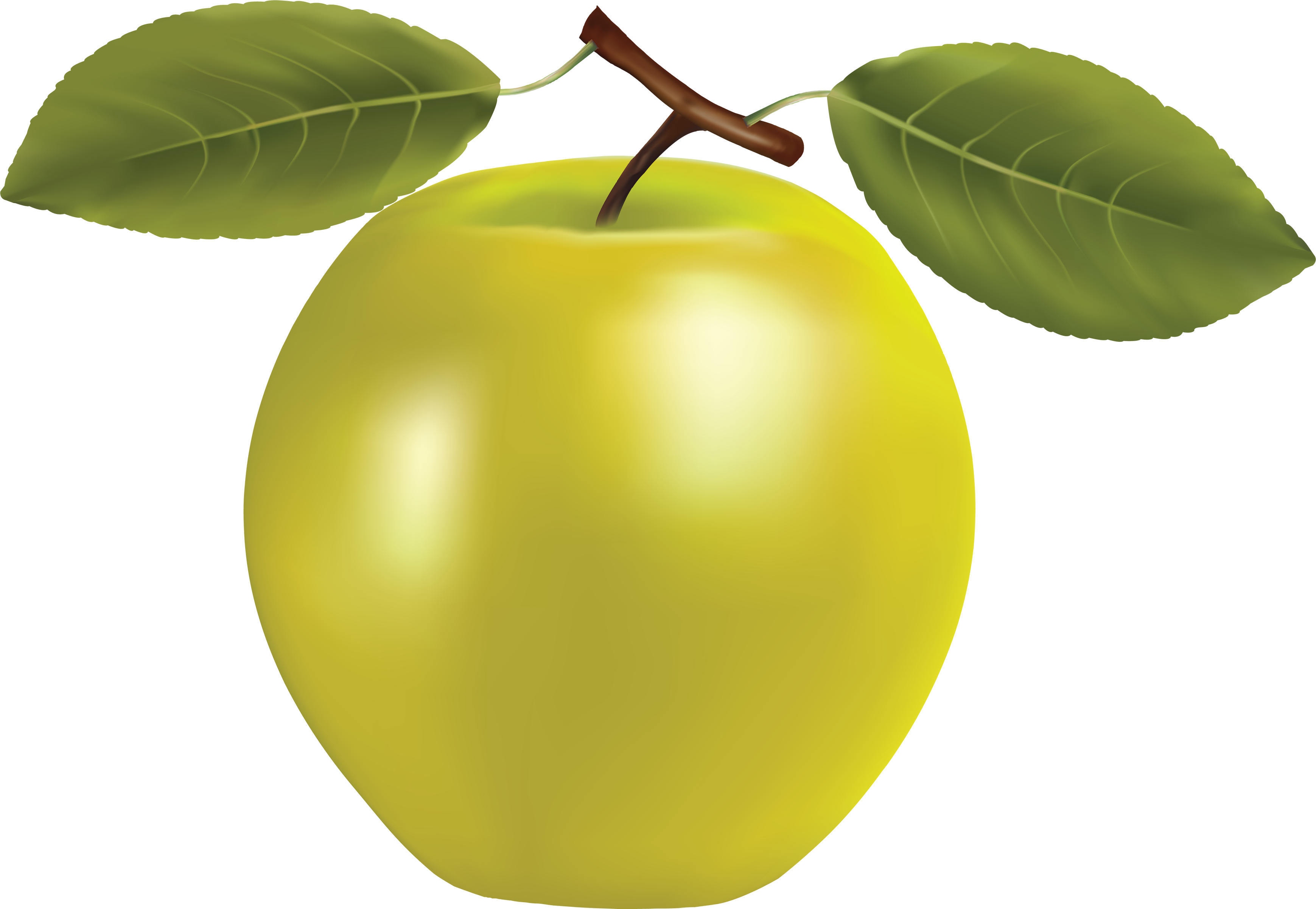Apple Png - Yellow Apple Png (3478x2404), Png Download