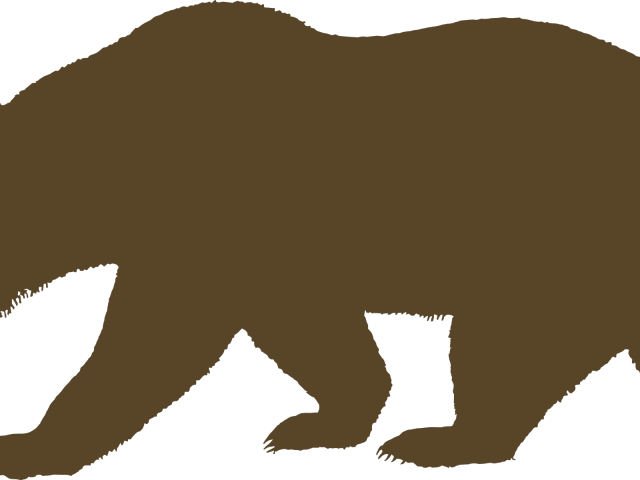 California Bear Outline - California Bear Silhouette (640x480), Png Download