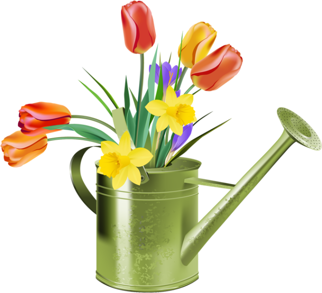 Spring - Daffodils And Tulips Free (640x641), Png Download