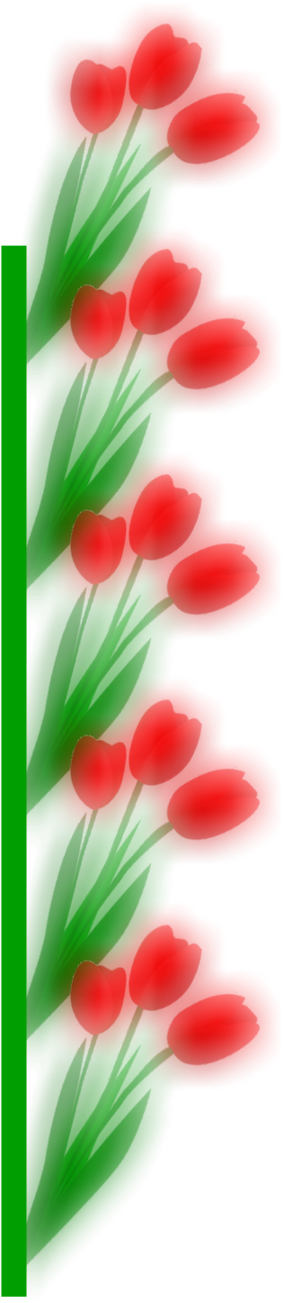 Tulips - Tulip (343x1463), Png Download