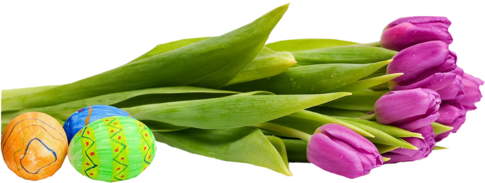 Posted By Doina At - Hotel Halászkert (700x560), Png Download