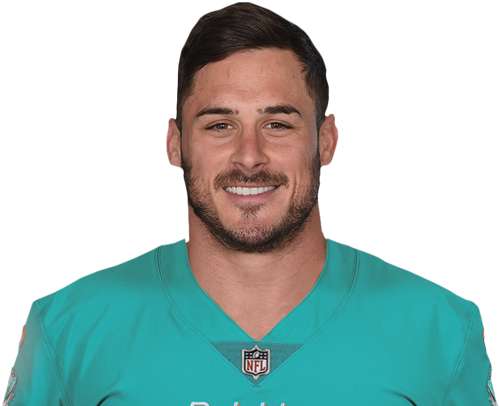 Danny Amendola Miami Dolphins (600x436), Png Download